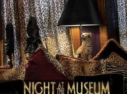 The Mansion on O Street