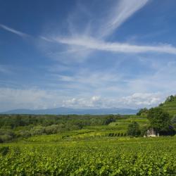 Baden-Württemberg Accommodation Los Angeles