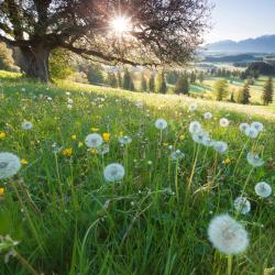 Bavaria Accommodation Los Angeles