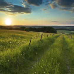 Eifel Accommodation Los Angeles
