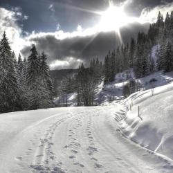 Feldberg Accommodation Los Angeles