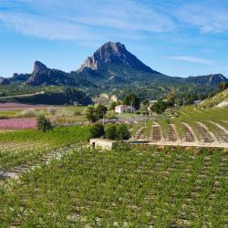 Murcia Accommodation Los Angeles