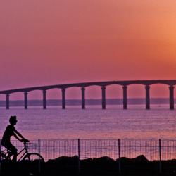 Island of Ré Accommodation Los Angeles