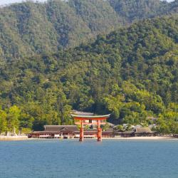 Aichi Accommodation Los Angeles