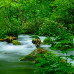 Aomori Accommodation Los Angeles