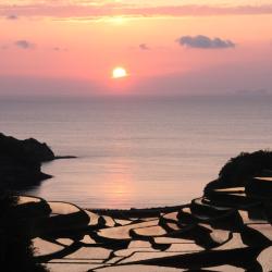 Saga Accommodation Los Angeles