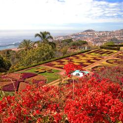 Funchal Accommodation Los Angeles