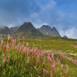 Santa Maria Accommodation Los Angeles