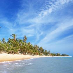 Koh Samui Accommodation Los Angeles