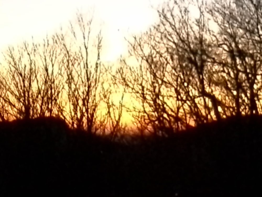 Sugar Ski & Country Club Unit 211 Bronze - thumb 5