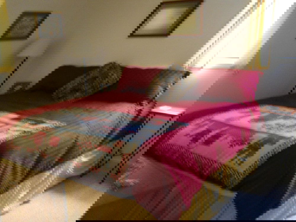 Sugar Ski & Country Club Unit 211 Bronze - thumb 0