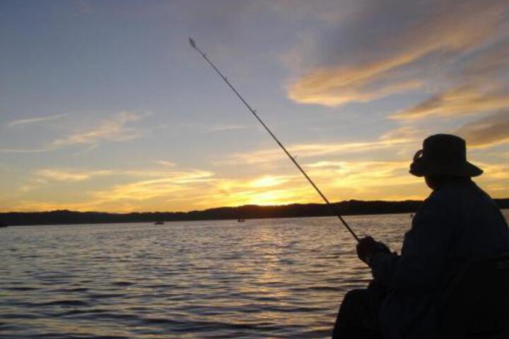 Family Bear - thumb 3