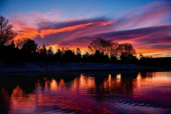 Family Bear - thumb 6