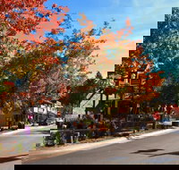 Wander Inn - Accommodation Los Angeles