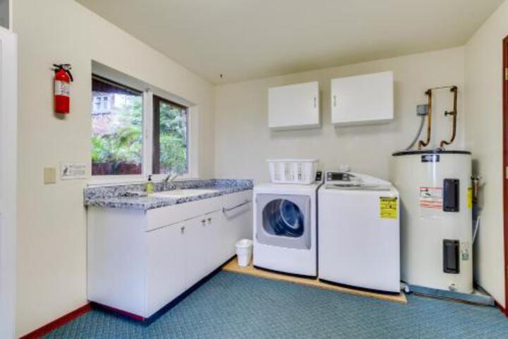 Cove Beach Forest Splendor - thumb 5