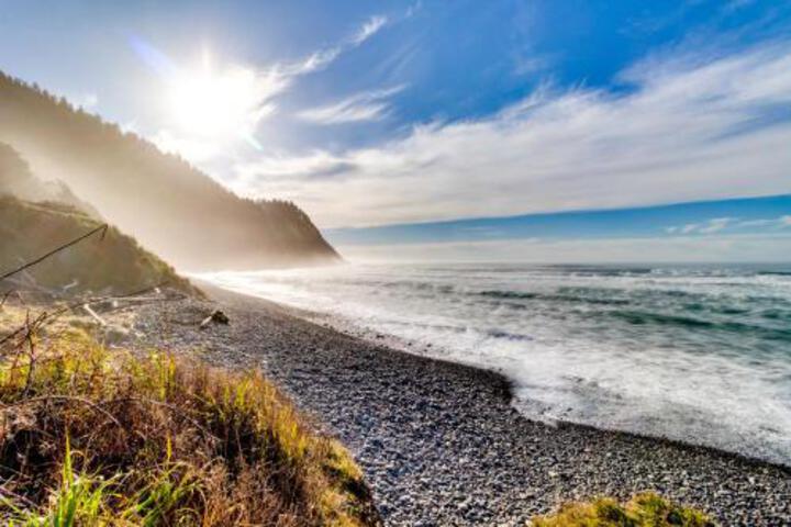 Cove Beach Forest Splendor - thumb 3