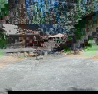 The Bernstein Bear Cabin - Accommodation Los Angeles