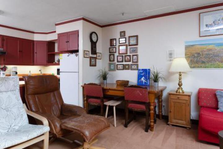 East Condo #222 - thumb 6