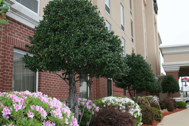 Hampton Inn Shreveport Airport - thumb 3