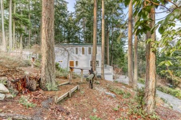 Sunrise Mist - thumb 0