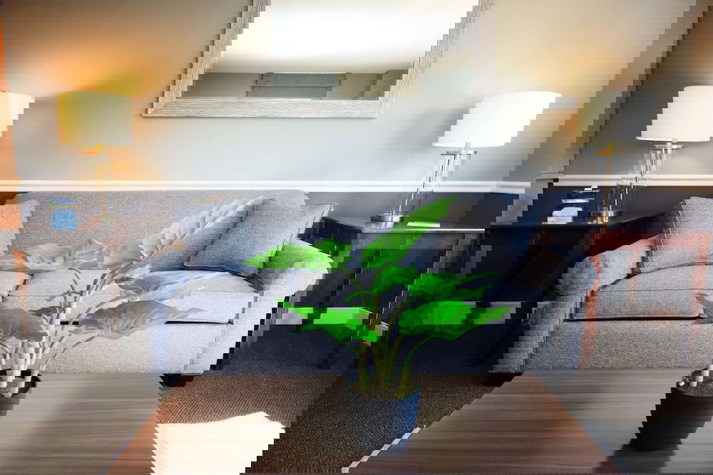 Iowa House Hotel - thumb 6