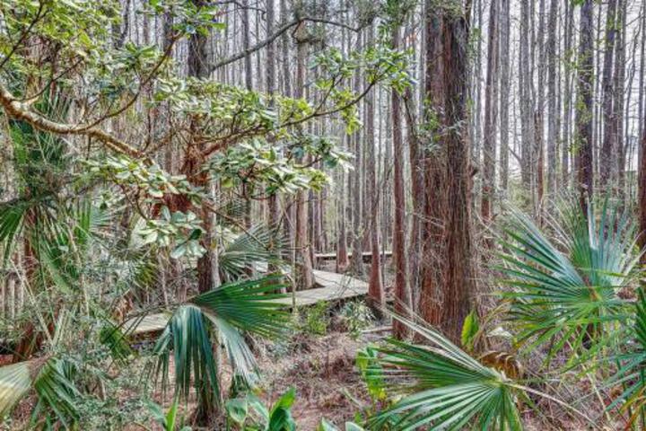 LegaSEA By RealJoy Vacations - thumb 3