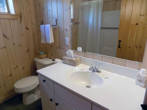 Blue Spruce Close To Town With Views Of Rangeley Lake - thumb 3