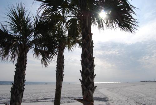 Beachview 216 By RedAwning - thumb 5