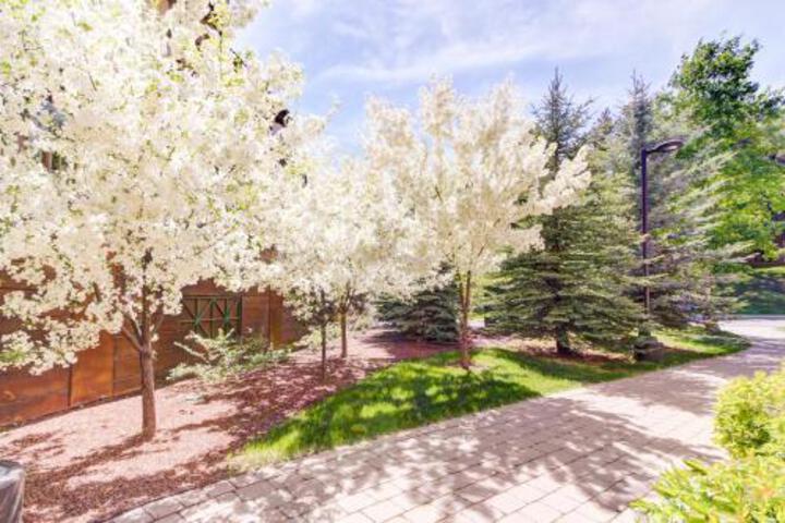 Elkhorn Angani 2087 - thumb 1