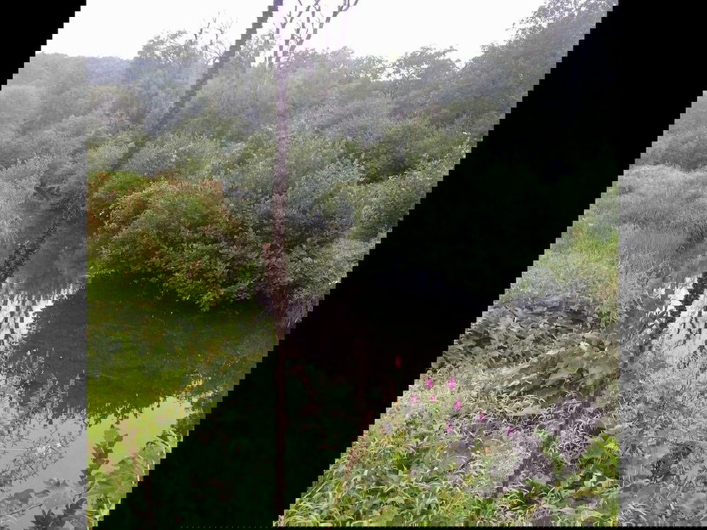 Tentrr Clove Mountain Meadow - thumb 3