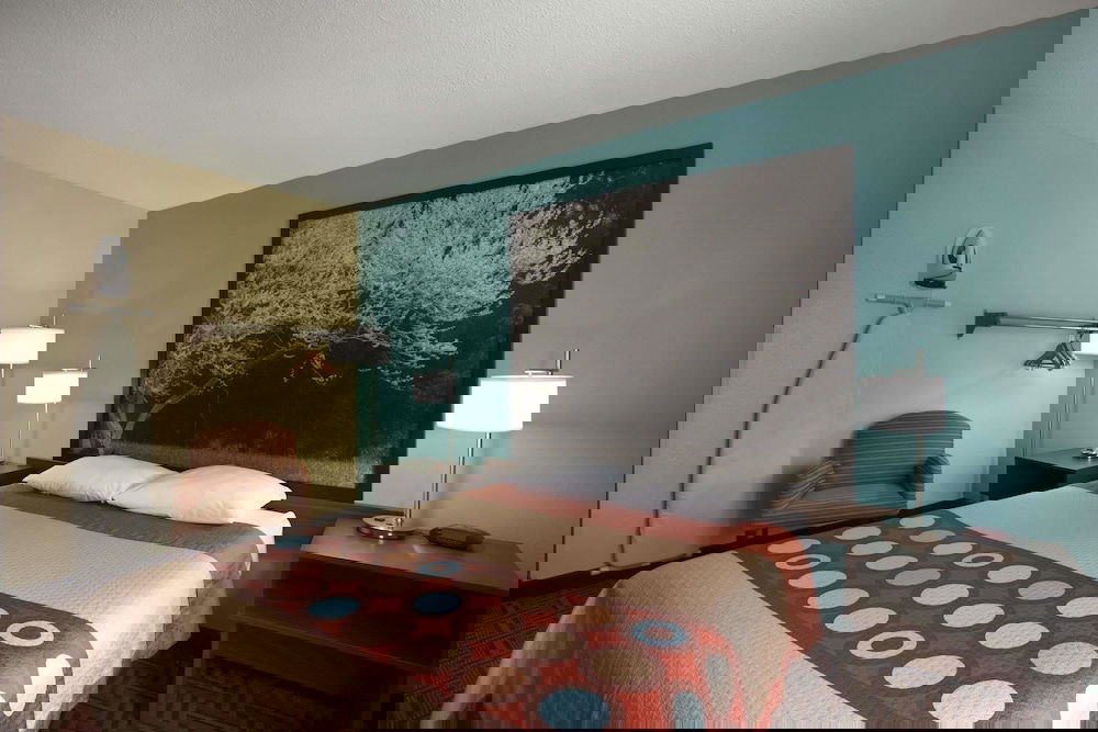 Super 8 By Wyndham Mt. Vernon IL - thumb 6