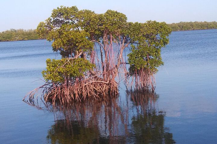 Silver Spray Motel - thumb 1