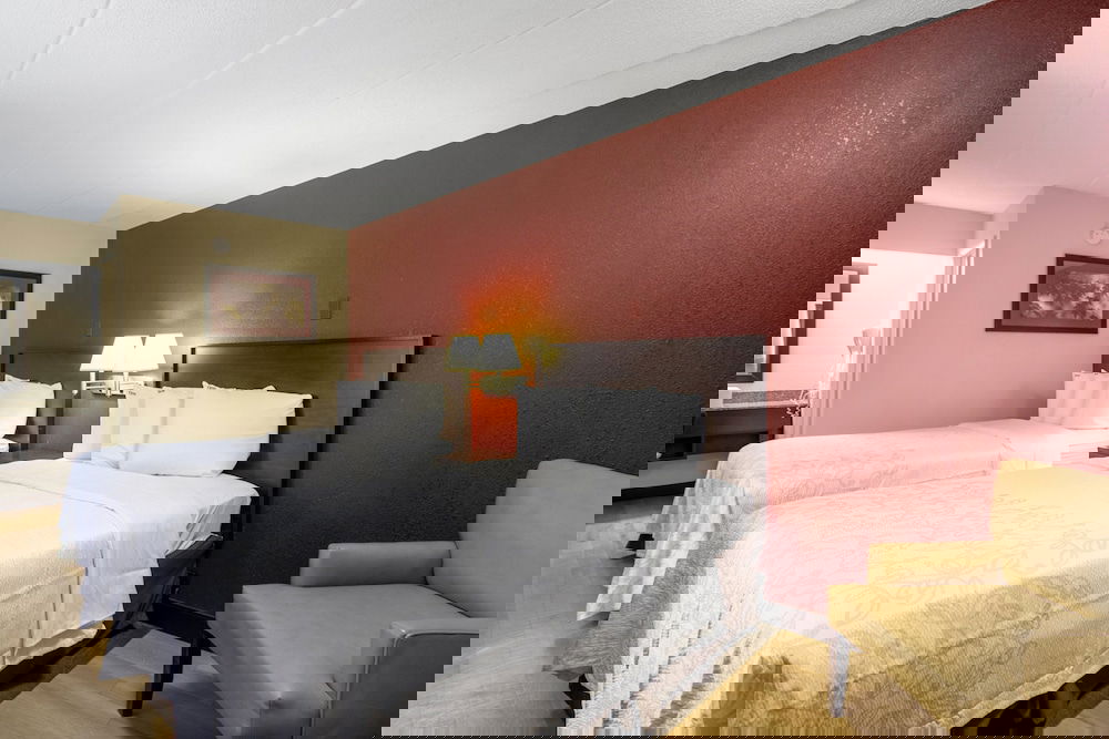 Red Roof Inn PLUS+ Columbus - DublinÂ  - thumb 3