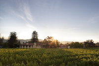 Yountville Ca Accommodation Los Angeles