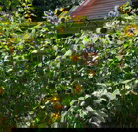 Blue Ridge Manor BB - Accommodation Los Angeles