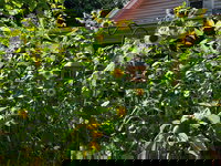 Cana Va Accommodation Los Angeles