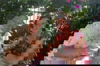 Cocoa Cottage Bed  Breakfast