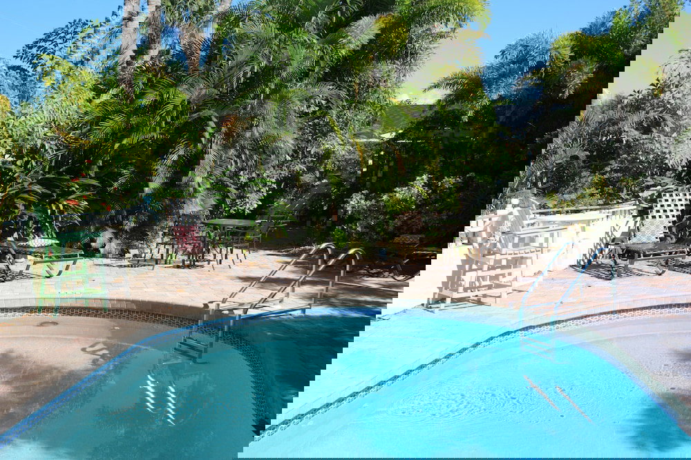 Palm Tree Villas - thumb 3