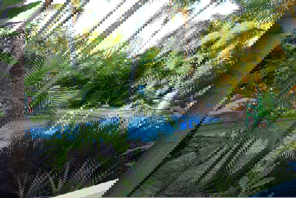 Palm Tree Villas - thumb 4