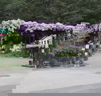 Fern Grove Cottages - Accommodation Los Angeles