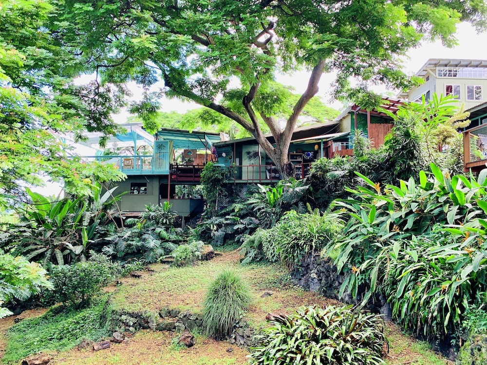 Dragonfly Ranch - thumb 0