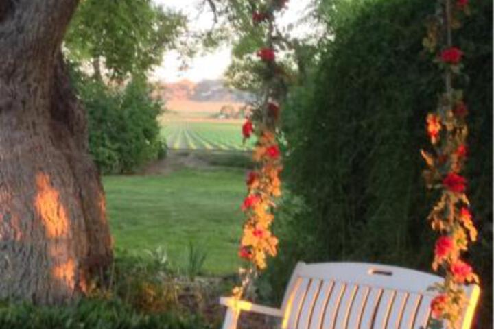 Barn Anew Bed & Breakfast - thumb 6