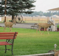 Rim Rock Motel - Accommodation Los Angeles