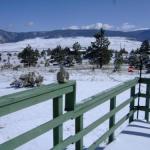 Rainbow House - thumb 1