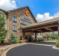 Comfort Inn  Suites - Accommodation Los Angeles