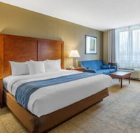 Comfort Inn Conference Center - Accommodation Los Angeles