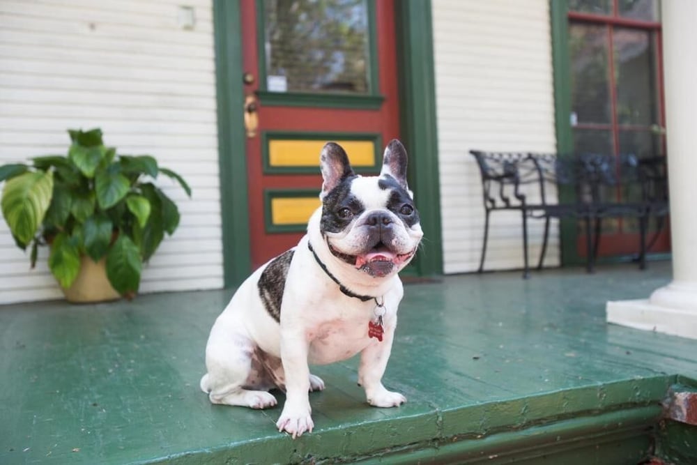 The Lookout Inn Of New Orleans - thumb 5