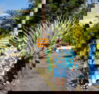 Aloha Junction Bed & Breakfast - Accommodation Los Angeles