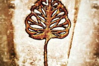 Accommodation Los Angeles