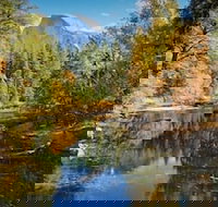 Scenic Wonders Lazy Bear Lodge 4 Bedroom - Accommodation Los Angeles